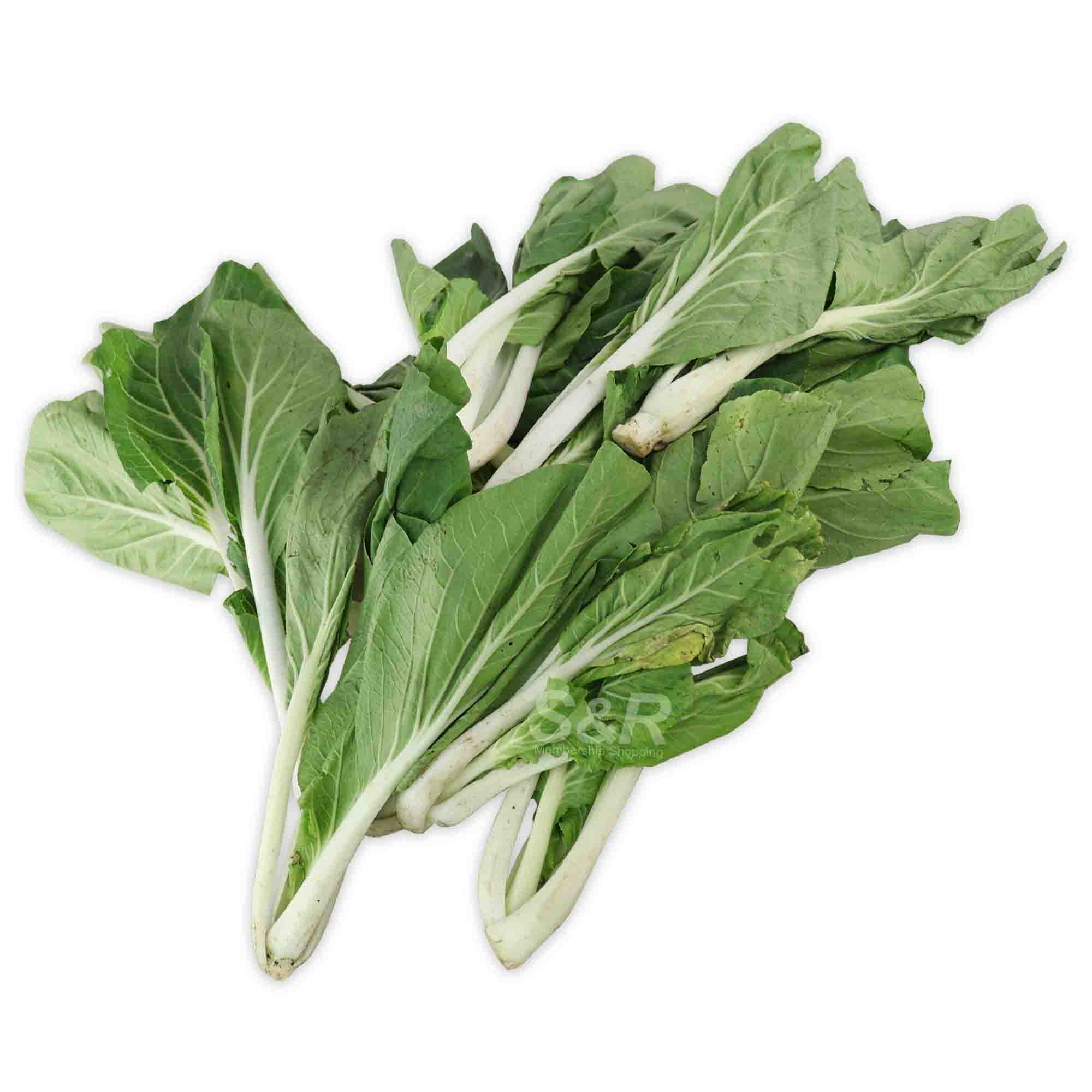 Organic Native Pechay approx. 1kg Organic Native Pechay approx. 1kg